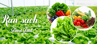 transworldfood